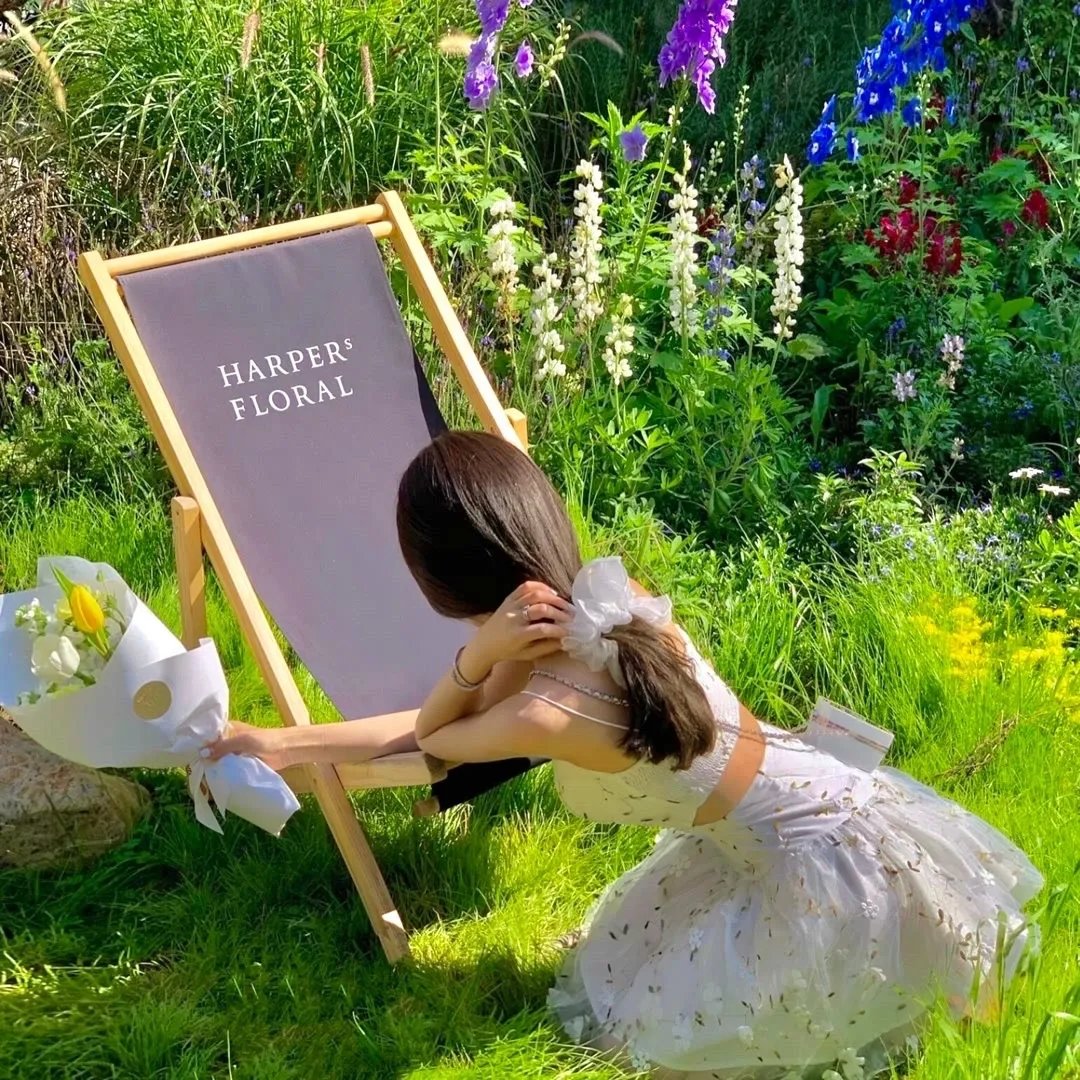 多子多福打造最强修仙家族